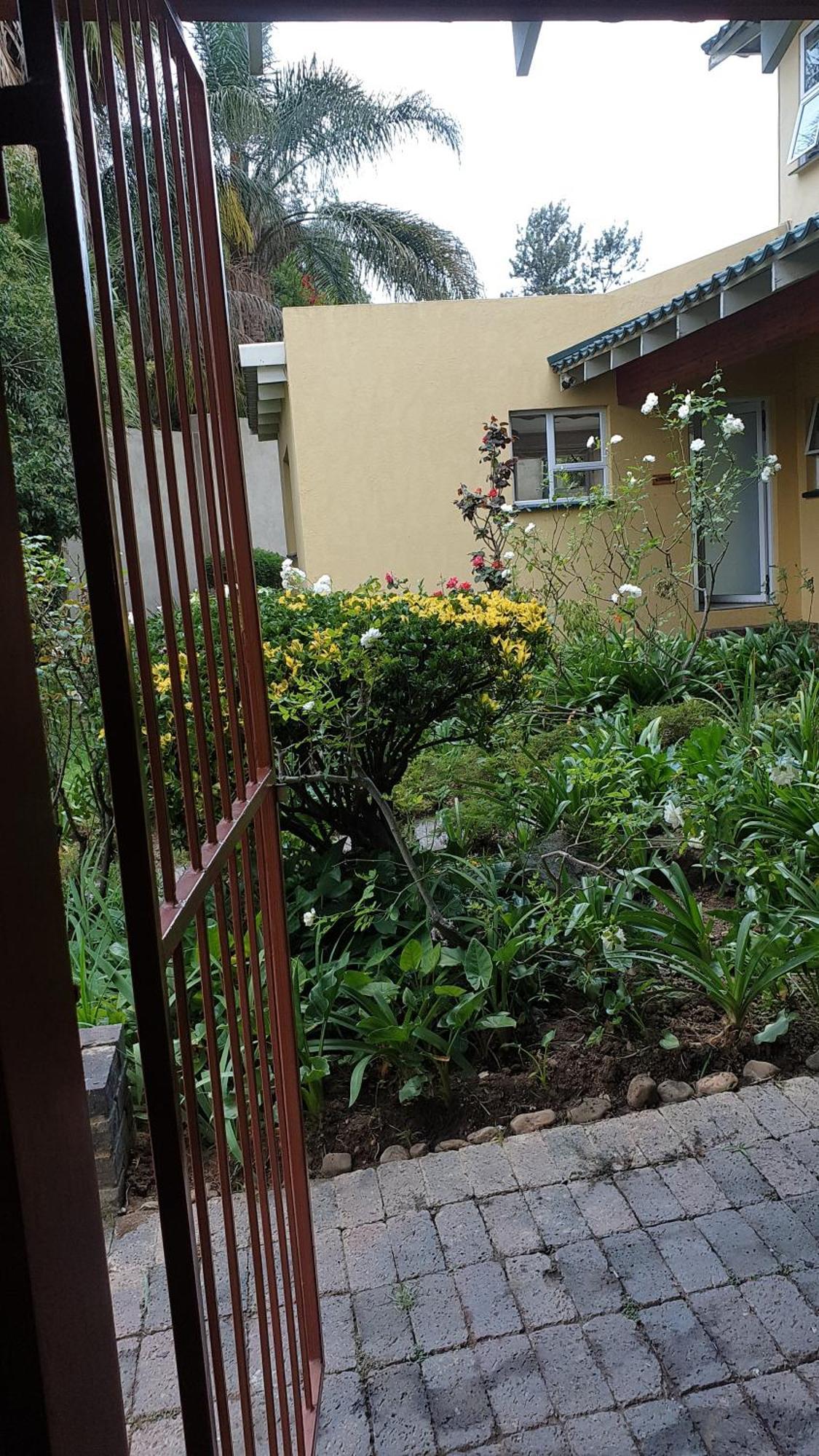 Matina Guest House Johannesburg Ruang foto